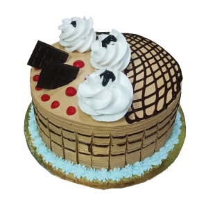 Chocolate Cake With Chocolate