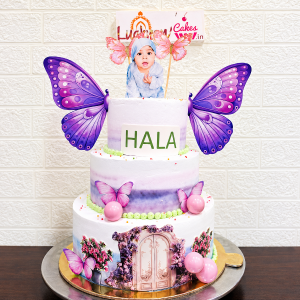 3-Tier Butterfly Fantasy Baby Photo Cake [2KG]